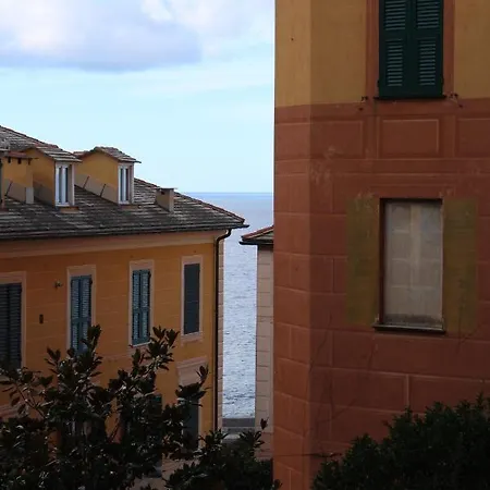 Augusta Camogli