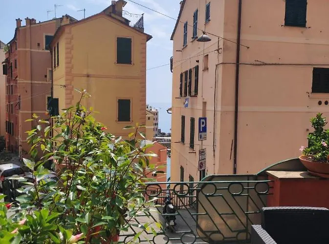 Augusta Camogli